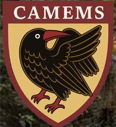 Small Grants for MEMS Doctoral Students